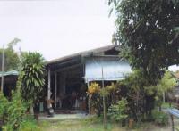 บ้านเดี่ยวหลุดจำนอง ธ.ธนาคารอาคารสงเคราะห์ ศรีสองรัก เมืองเลย เลย