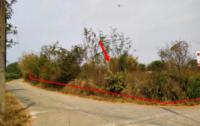 https://ww.ohoproperty.com/182534/ธนาคารกสิกรไทย/ขายที่ดินว่างเปล่า/บ้านกลาง/สันป่าตอง/เชียงใหม่/