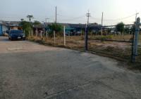 https://ww.ohoproperty.com/198954/ธนาคารกสิกรไทย/ขายที่ดินว่างเปล่า/หนองแก/หัวหิน/ประจวบคีรีขันธ์/
