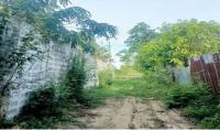 https://ww.ohoproperty.com/199692/ธนาคารกสิกรไทย/ขายที่ดินว่างเปล่า/ไม้งาม/เมืองตาก/ตาก/