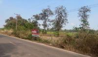 ที่ดินว่างเปล่าหลุดจำนอง ธ.ธนาคารกสิกรไทย พระกลางทุ่ง ธาตุพนม นครพนม