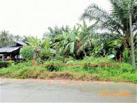 https://ww.ohoproperty.com/151896/ธนาคารกสิกรไทย/ขายที่ดินว่างเปล่า/คลองท่อมใต้/คลองท่อม/กระบี่/