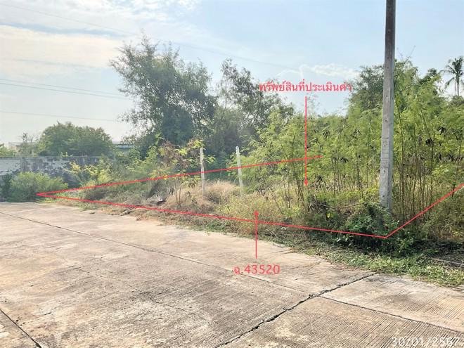 หนองตาแต้ม ปราณบุรี ประจวบคีรีขันธ์