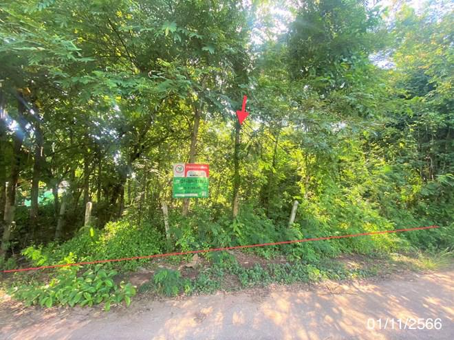 เมืองใหม่ ศรีบุญเรือง หนองบัวลำภู
