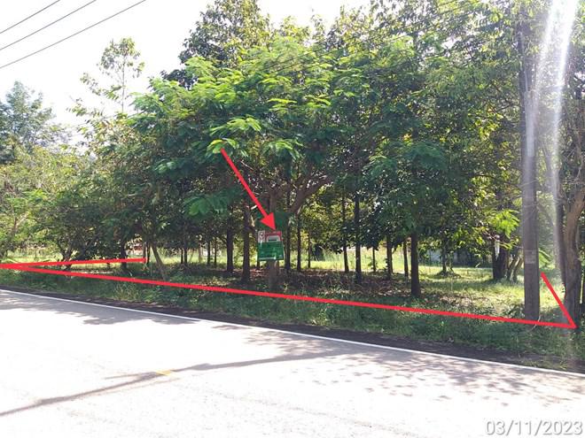 นนทรี กบินทร์บุรี ปราจีนบุรี