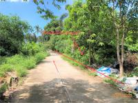 https://ww.ohoproperty.com/157153/ธนาคารกสิกรไทย/ขายที่ดินว่างเปล่า/ลิปะน้อย/เกาะสมุย/สุราษฎร์ธานี/