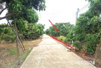 https://ww.ohoproperty.com/156003/ธนาคารกสิกรไทย/ขายที่ดินว่างเปล่า/หนองล่อง/เวียงหนองล่อง/ลำพูน/