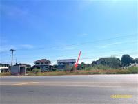 https://ww.ohoproperty.com/167547/ธนาคารกสิกรไทย/ขายที่ดินว่างเปล่า/บ้านกล้วย/เมืองสุโขทัย/สุโขทัย/