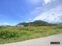 https://ww.ohoproperty.com/170832/ธนาคารกสิกรไทย/ขายที่ดินว่างเปล่า/อาฮี/ท่าลี่/เลย/
