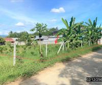 https://ww.ohoproperty.com/171282/ธนาคารกสิกรไทย/ขายที่ดินว่างเปล่า/อาฮี/ท่าลี่/เลย/