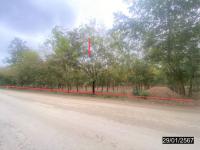 https://ww.ohoproperty.com/175014/ธนาคารกสิกรไทย/ขายที่ดินว่างเปล่า/น้ำสวย/เมืองเลย/เลย/