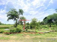 https://ww.ohoproperty.com/180928/ธนาคารกสิกรไทย/ขายที่ดินว่างเปล่า/ควนลัง/หาดใหญ่/สงขลา/
