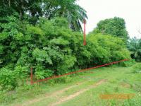https://ww.ohoproperty.com/190465/ธนาคารกสิกรไทย/ขายที่ดินว่างเปล่า/ทรายขาว/คลองท่อม/กระบี่/
