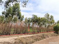 ที่ดินว่างเปล่าหลุดจำนอง ธ.ธนาคารกสิกรไทย จำปาขัน สุวรรณภูมิ ร้อยเอ็ด