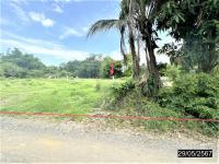 https://ww.ohoproperty.com/199773/ธนาคารกสิกรไทย/ขายที่ดินว่างเปล่า/หนองบัว/โกสุมพิสัย/มหาสารคาม/