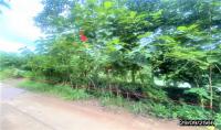 ที่ดินว่างเปล่าหลุดจำนอง ธ.ธนาคารกสิกรไทย กุดดินจี่ นากลาง หนองบัวลำภู