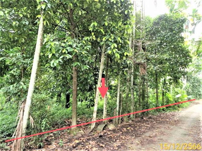 จันดี ฉวาง นครศรีธรรมราช