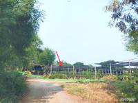 https://ww.ohoproperty.com/205049/ธนาคารกสิกรไทย/ขายที่ดินว่างเปล่า/เอกราช/ป่าโมก/อ่างทอง/