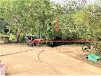 ที่ดินว่างเปล่าหลุดจำนอง ธ.ธนาคารกสิกรไทย แม่จัน แม่จัน เชียงราย