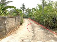 https://ww.ohoproperty.com/206811/ธนาคารกสิกรไทย/ขายที่ดินว่างเปล่า/สันทราย/แม่จัน/เชียงราย/