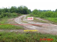 https://ww.ohoproperty.com/206691/ธนาคารกสิกรไทย/ขายที่ดินว่างเปล่า/บ้านกลาง/สันป่าตอง/เชียงใหม่/