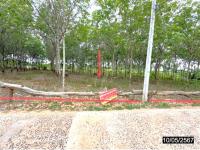 ที่ดินว่างเปล่าหลุดจำนอง ธ.ธนาคารกสิกรไทย คอนสาย ตระการพืชผล อุบลราชธานี