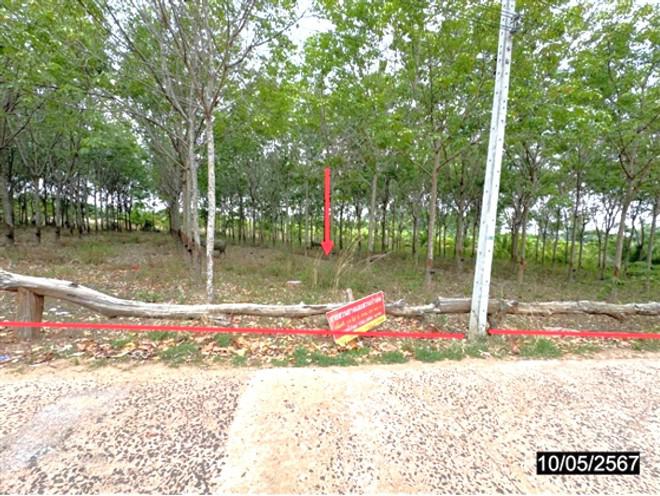 คอนสาย ตระการพืชผล อุบลราชธานี
