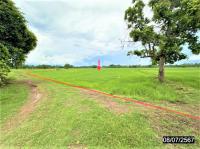 https://ww.ohoproperty.com/212491/ธนาคารกสิกรไทย/ขายที่ดินว่างเปล่า/หัวขวาง/โกสุมพิสัย/มหาสารคาม/