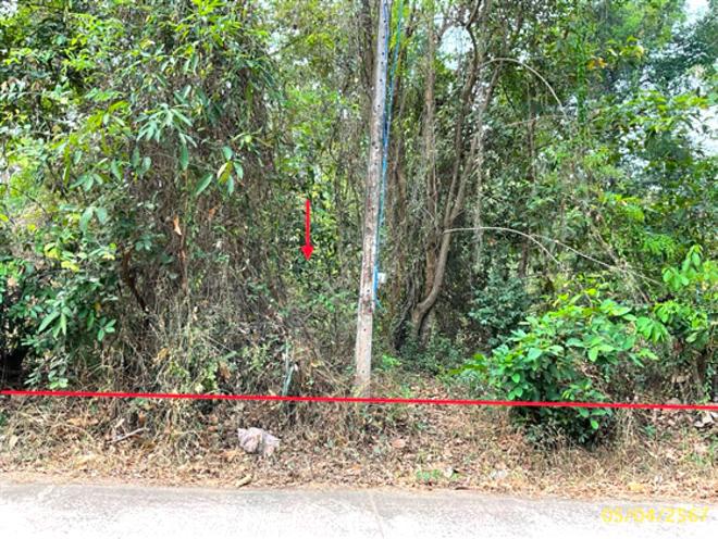 โพธิ์ศรี พิบูลมังสาหาร อุบลราชธานี