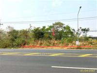 https://ww.ohoproperty.com/205972/ธนาคารกสิกรไทย/ขายที่ดินว่างเปล่า/กุดชมภู/พิบูลมังสาหาร/อุบลราชธานี/
