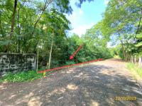 https://ww.ohoproperty.com/206077/ธนาคารกสิกรไทย/ขายที่ดินว่างเปล่า/รังสิต/ธัญบุรี/ปทุมธานี/