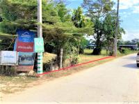 https://ww.ohoproperty.com/212855/ธนาคารกสิกรไทย/ขายที่ดินว่างเปล่า/เวียง/ฝาง/เชียงใหม่/