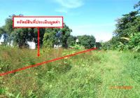 https://ww.ohoproperty.com/212542/ธนาคารกสิกรไทย/ขายที่ดินว่างเปล่า/คลองขลุง/คลองขลุง/กำแพงเพชร/