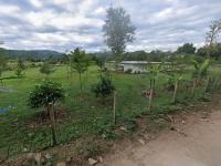 https://ww.ohoproperty.com/200548/ธนาคารกสิกรไทย/ขายบ้านเดี่ยว/นาอาน/เมืองเลย/เลย/