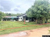 https://ww.ohoproperty.com/159179/ธนาคารกสิกรไทย/ขายบ้านเดี่ยว/เกาะแก้ว/เสลภูมิ/ร้อยเอ็ด/
