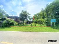 https://ww.ohoproperty.com/157492/ธนาคารกสิกรไทย/ขายบ้านเดี่ยว/เมืองใหม่/ศรีบุญเรือง/หนองบัวลำภู/