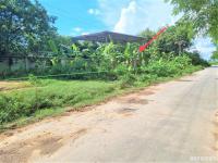 https://ww.ohoproperty.com/156065/ธนาคารกสิกรไทย/ขายบ้านเดี่ยว/ทุ่งลูกนก/กำแพงแสน/นครปฐม/