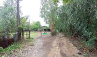 https://ww.ohoproperty.com/167977/ธนาคารกสิกรไทย/ขายบ้านเดี่ยว/โพธิ์ศรีสว่าง/โพนทอง/ร้อยเอ็ด/
