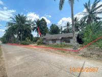 https://ww.ohoproperty.com/177214/ธนาคารกสิกรไทย/ขายบ้านเดี่ยว/ห้วยน้ำขาว/คลองท่อม/กระบี่/