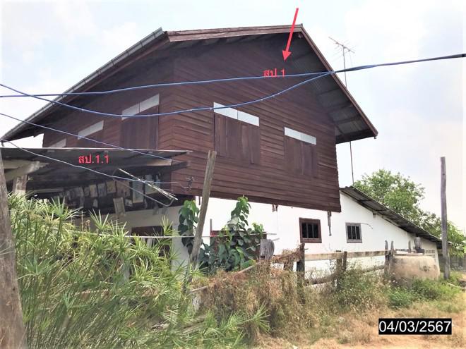หนองน้ำใส บ้านไผ่ ขอนแก่น