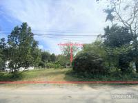 https://ww.ohoproperty.com/182859/ธนาคารกสิกรไทย/ขายบ้านเดี่ยว/พังลา/สะเดา/สงขลา/