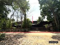https://ww.ohoproperty.com/182863/ธนาคารกสิกรไทย/ขายบ้านเดี่ยว/ตาดทอง/เมืองยโสธร/ยโสธร/