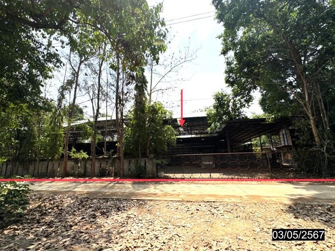 ตาดทอง เมืองยโสธร ยโสธร