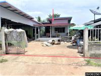 บ้านเดี่ยวหลุดจำนอง ธ.ธนาคารกสิกรไทย หลุบคา แก้งคร้อ ชัยภูมิ