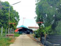 https://ww.ohoproperty.com/211177/ธนาคารกสิกรไทย/ขายบ้านเดี่ยว/ศาลาแดง/เมืองอ่างทอง/อ่างทอง/