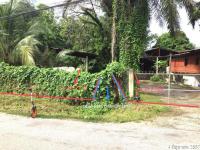 บ้านเดี่ยวหลุดจำนอง ธ.ธนาคารกสิกรไทย บัวสลี แม่ลาว เชียงราย