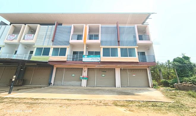 ป่าแมต เมืองแพร่ แพร่
