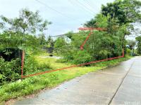 https://ww.ohoproperty.com/159502/ธนาคารกสิกรไทย/ขายอาคารโรงงาน/ทุ่งหวัง/เมืองสงขลา/สงขลา/
