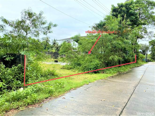 ทุ่งหวัง เมืองสงขลา สงขลา