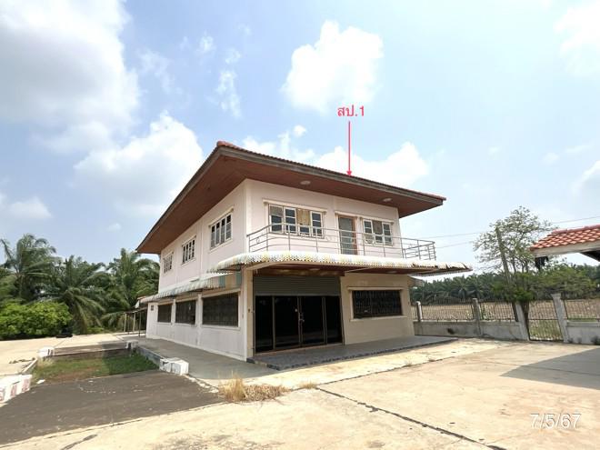 ดงคอน สรรคบุรี ชัยนาท